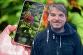 Mit "Flora Incognita"-App: Leipziger wollen Deutschlands 17 Millionen Gärten erforschen