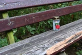Leichenfund auf Waldweg: Teenager stellt sich und räumt "Tatbeteiligung" ein