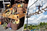 Markttage, Hobbymesse und Kletterpark: Das Wochenende in Leipzig wird garantiert nicht langweilig