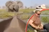 Safari wird zum Albtraum: Elefant drückt Touristin unter Wasser