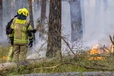 2000 Quadratmeter betroffen: Feuerwehr wegen Waldbrand stundenlang im Einsatz