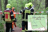 Immer neue Gift-Ampullen: Chemnitz sperrt Ebersdorfer Wald