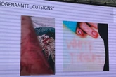 Cyber-Killer "White Tiger": So grausam wurden Kinder zerstört
