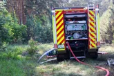 Brand bedroht einen Hektar Jungwald: Feuerwehr stundenlang im Einsatz
