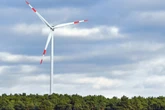Naturschutzbund will keine Windkraftanlagen in Sachsens Wäldern
