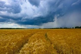 Hitzepause vorbei? Auf dieses Wetter müssen wir uns in den kommenden Tagen einstellen