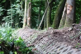 Tödlicher Unfall: Auto kracht rund 30 Meter weit in Wald, zwei Ehepaare sterben