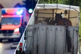Lkw rammt Pferdeanhänger auf der A3: Ein Tier stirbt, ein weiteres verletzt