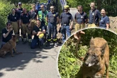 Spektakulärer Rettungseinsatz! Hündin "Mara" aus Rohr gerettet