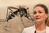 Chikungunya-Virus: Immer mehr Infektionen, was hilft?