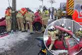 Gegen Baum geknallt: Feuerwehr muss jungen Fahrer aus Auto schneiden!