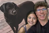 Mann vermisst Hund seit acht Jahren: Was er nach all der Zeit erfährt, kann er kaum glauben