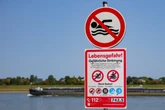 Zu viele Todesfälle! Nächste Stadt führt Badeverbot im Rhein ein