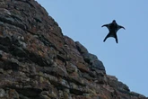 Drama in luftiger Höhe: Wingsuit-Sprung endet für Deutsche (48) in Katastrophe