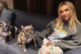 "Die wollen mich zerstören": Bill Kaulitz wird von der "Mafia" gejagt