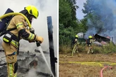Geflügelstall in Vollbrand: Für fast 50 Tiere kommt jede Hilfe zu spät