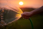 Garten bewässern: Sollte man lieber morgens oder abends gießen?