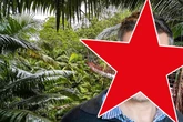 Gerüchteküche brodelt: GZSZ-Star soll Dschungelcamp aufmischen