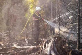 Riesiger Waldbrand im Taunus: Warnmeldung und unklare Brandursache