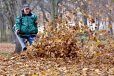 Blätterfall in Sachsen: Wer muss eigentlich das Laub zusammenkehren?