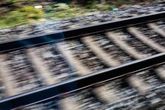 Tragödie bei Ludwigsburg: Hund stirbt nach Kollision mit S-Bahn