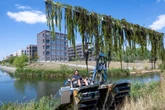 "Invasive gebietsfremde Art": Wasserpflanzen in Leipziger Kanal werden weggesenst