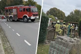 Küche brennt lichterloh: Für zwei Hunde kommt jede Hilfe zu spät