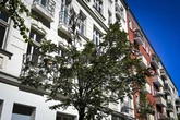 Gesetzentwurf "Volksentscheid Baum" kassiert Absage von Senat: Das sind die Gründe