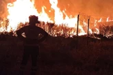 Leuchtend rote Flammen und dichter Rauch: Schon wieder heftiger Waldbrand