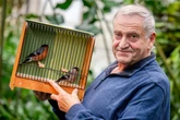 Ihr Hobby ist zum Piepen: Chemnitzer Vogel-Liebhaber laden zum großen Jubiläum