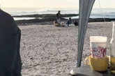 Frau verliert Hund am Strand: Wo sie ihn dann findet, sorgt für Lachtränen