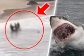Blutiger Angriff: Teenager beim Schwimmen von Hai attackiert