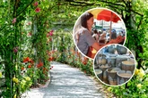 Für Hosenscheißer, Ladys und Hunde: Das erwartet Euch Sonntag in Dresden und Umgebung