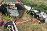 Tierische Rettungsaktion: Feuerwehr zieht Pferd aus Fluss
