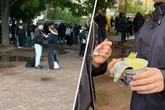 Junge Menschen mit Pudding und Gabel im Alaunpark: Was soll das?