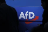 AfD Brandenburg gilt schon seit April gesichert rechtsextrem: Innenministerin und Woidke wussten nichts!