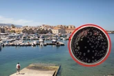 Achtung Kreta-Urlauber! Auf der Insel lauern gefährliche Bakterien