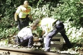 Tierischer Einsatz für die Bundespolizei: S-Bahn lahmgelegt