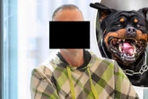 Lange Haft fürs Herrchen, Karriere für den Rottweiler