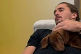 Dackel Mishka schwer verletzt: Alexander Zverev und Sophia Thomalla bangen um ihren Hund