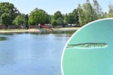 Entenflöhe-Alarm: Rabatt im Mockritzer Bad