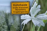 Frost-Schock in Sachsen: Null Grad im Juli!