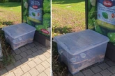 In erbärmlichen Zustand an Bushaltestelle ausgesetzt: Polizei sucht Hamster-Schänder