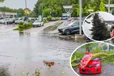 Überflutete Keller, umgestürzte Bäume, Straßen unter Wasser: Unwetter sorgt für Chaos