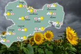 Schauer, Gewitter, Starkregen: So ungemütlich bleibt das Wetter in Sachsen