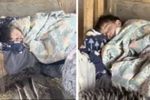 Bauernhof-Junge liegt krank im Stall: Wie die Tiere reagieren, lässt Herzen schmelzen
