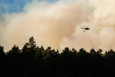 Waldbrand im Nationalpark lodert noch immer: Jetzt hoffen alle auf dasselbe