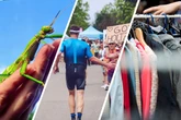 Sport, Kultur und Familienspaß: Der Sonntag in Leipzig wird bunt und vielfältig