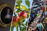 Vier Tipps für Euren Sonntag: Hier könnt Ihr dem mauen Sommerwetter trotzen
