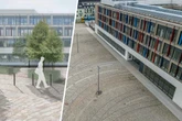 Betonwüste in Tolkewitz: Jetzt gibt&#039;s Streit um die Baum-Finanzierung
